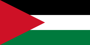 Flag of Palestine - long triangle.svg