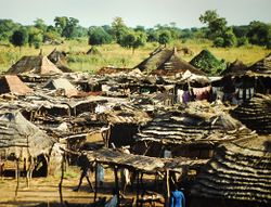 Huts outside Wau, 2008