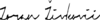 Zoran Zivkovic Signature.png