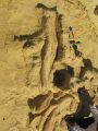 عمليات الحفر واستخراج أحفورة الباسيلوسورس في وادي الحيتان.