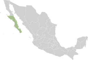 Mexico states baja california sur.png