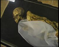 Mummy of the Siberian Ice Maiden