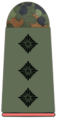 Hauptmann German Army