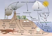 Schematic-figure-of-the-sulfur-cycle.jpg