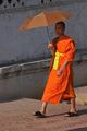 A young Buddhist monk in Laos
