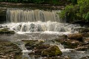 Aysgarth Falls, a popular destination for hikers, can also be reached by a short walk from the main road