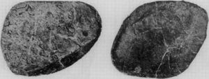 Two fossilized knob of bone, black with white streaks