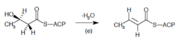 3-hydroxyacyl-ACP dehydrase.png