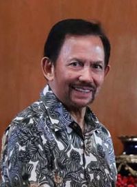 Brunei Sultan Hassanal Bolkiah 2019 (cropped).jpg