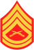 three chevrons up and two down with crossed rifles