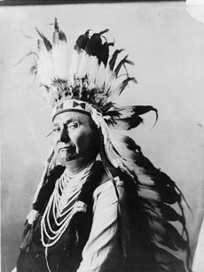 Profile of the head and torso of a dignified man of about 60. He wears a headpiece featuring many long white feathers with black tips. His shirt or upper garment is dark, and its sleeves are white. Decorative parallel ovals of white material extend down the front of this garment from neck to midriff.