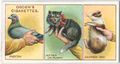 How to Hold Pets (Ogden's Cigarettes 1903 - 1917)
