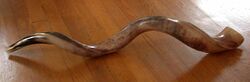 A shofar made from the horn of a greater kudu.