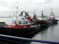 Tugboats in Vancouver, British Columbia