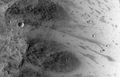 Oblong boulder on Mars lands upright after rolling down a hill (MRO, July 3, 2014) (31°S 302°E﻿ / ﻿31°S 302°E﻿ / -31; 302).